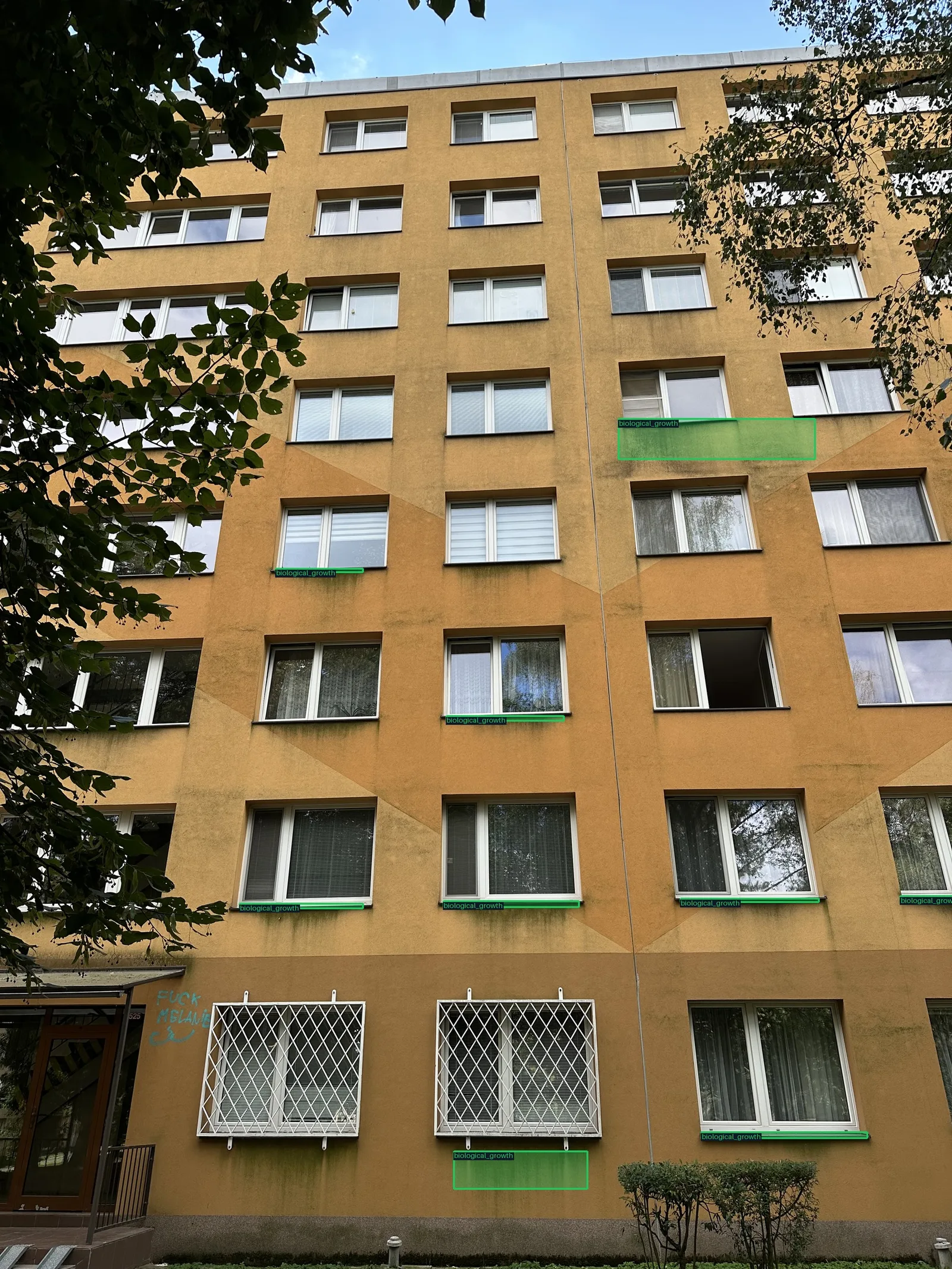 Biologický růst · IMG_9753